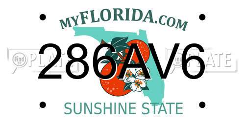 286AV6 Florida License Plate