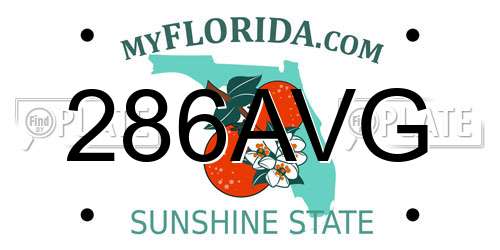 286AVG Florida License Plate