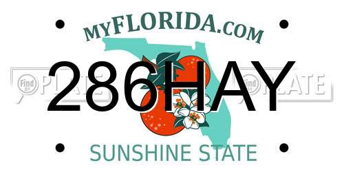 286HAY Florida License Plate