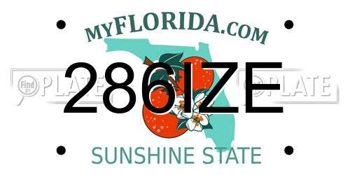 286IZE Florida License Plate