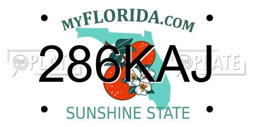 286KAJ Florida License Plate