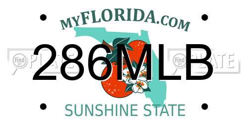 286MLB Florida License Plate