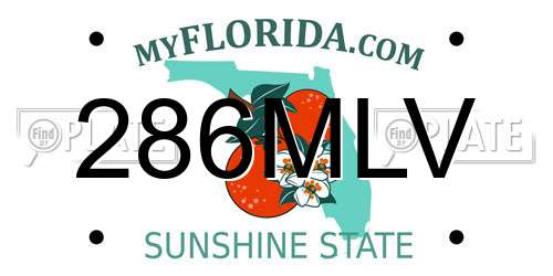 286MLV Florida License Plate
