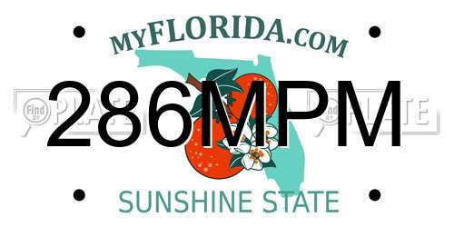 286MPM Florida License Plate