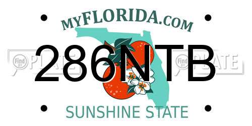 286NTB Florida License Plate