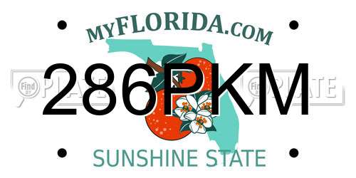 286PKM Florida License Plate