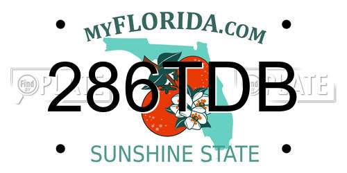 286TDB Florida License Plate