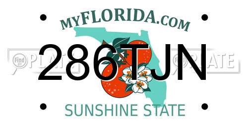 286TJN Florida License Plate