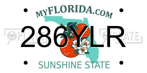 286YLR Florida License Plate