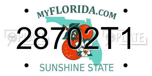 28702T1 Florida License Plate