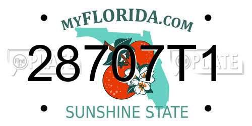 28707T1 Florida License Plate
