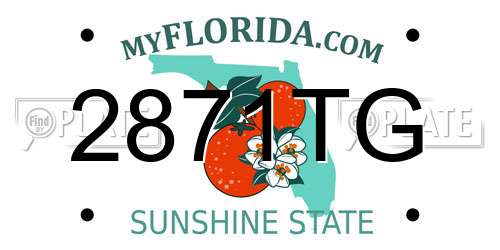 2871TG Florida License Plate