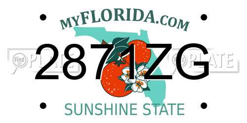 2871ZG Florida License Plate