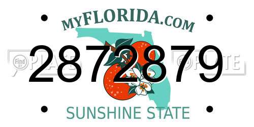 2872879 Florida License Plate