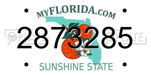 2873285 Florida License Plate