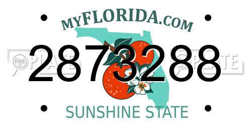 2873288 Florida License Plate