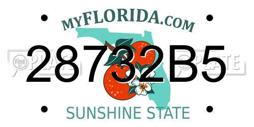 28732B5 Florida License Plate