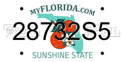 28732S5 Florida License Plate