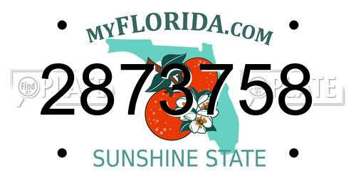 2873758 Florida License Plate