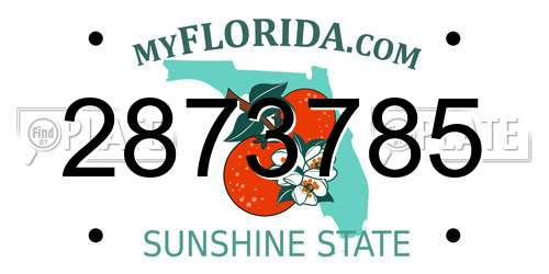 2873785 Florida License Plate