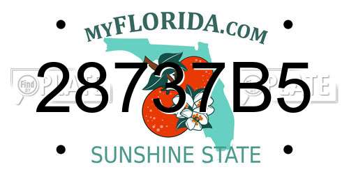 28737B5 Florida License Plate