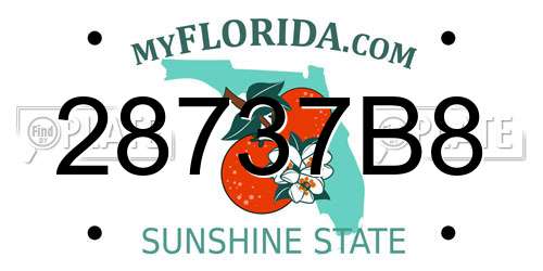 28737B8 Florida License Plate