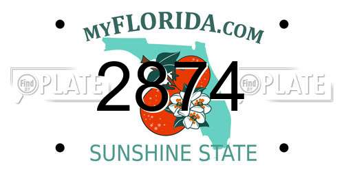 2874 Florida License Plate