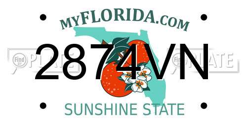 2874VN Florida License Plate