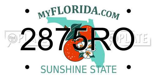 2875RO Florida License Plate