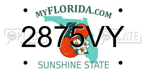 2875VY Florida License Plate