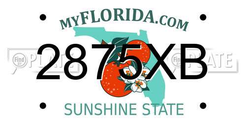 2875XB Florida License Plate