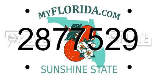 2877529 Florida License Plate