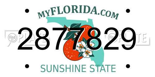 2877829 Florida License Plate