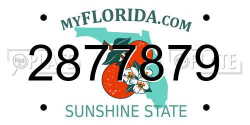 2877879 Florida License Plate