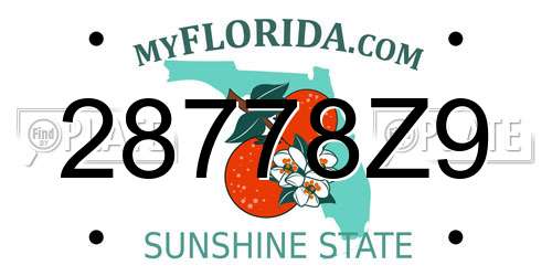 28778Z9 Florida License Plate