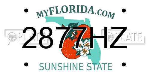 2877HZ Florida License Plate
