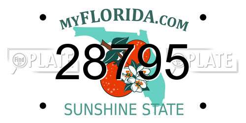 28795 Florida License Plate