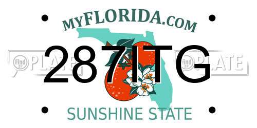287ITG Florida License Plate