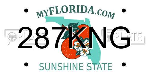 287KNG Florida License Plate