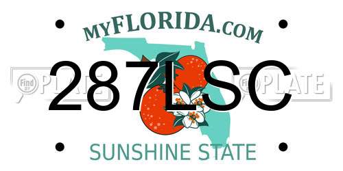 287LSC Florida License Plate