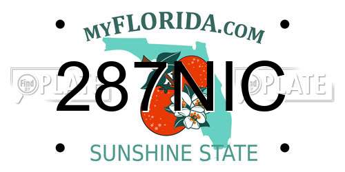 287NIC Florida License Plate