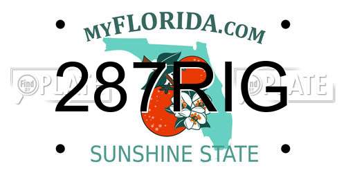 287RIG Florida License Plate