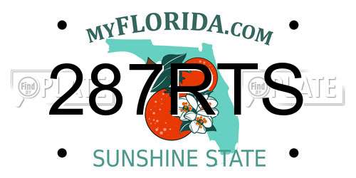 287RTS Florida License Plate