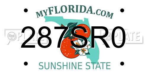 287SR0 Florida License Plate
