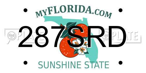 287SRD Florida License Plate