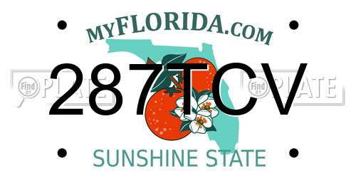 287TCV Florida License Plate