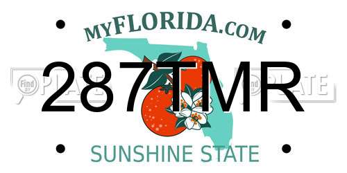 287TMR Florida License Plate