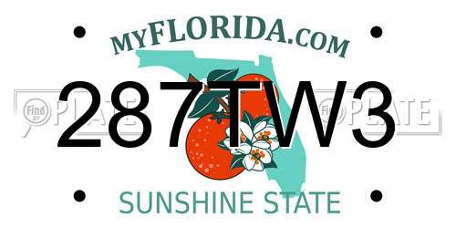 287TW3 Florida License Plate