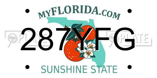 287YFG Florida License Plate