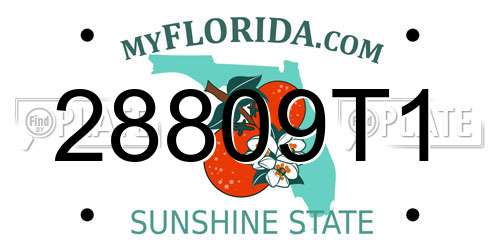 28809T1 Florida License Plate
